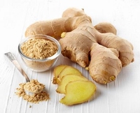 Ginger - Zingiber officinale